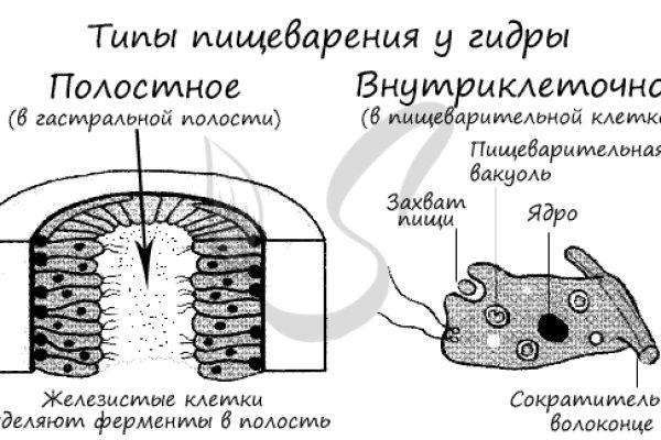 Kraken ссылка актуальная