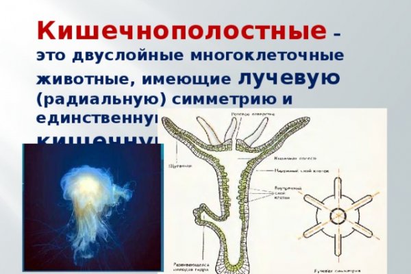 Кракен ссылка vtor